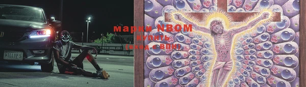 СК Зеленокумск