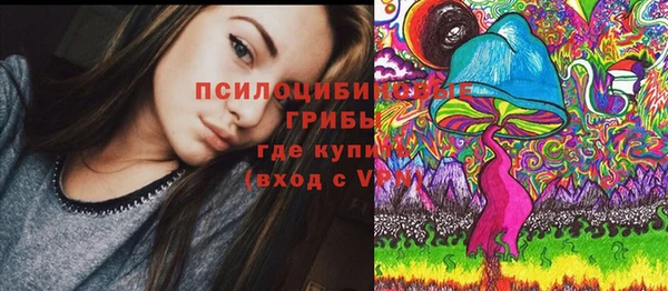 дмт Зерноград