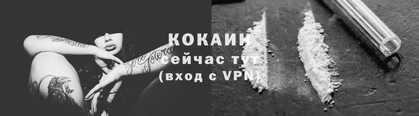 СК Зеленокумск