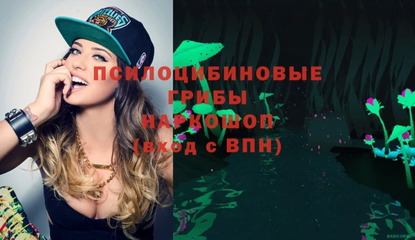 СК Зеленокумск